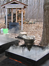 An image featuring the color green
