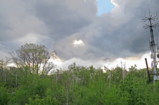 View of scene observed during walk on May 15th