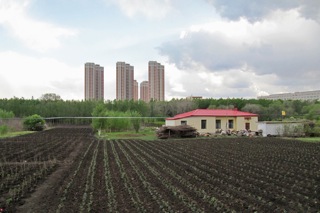 Scene during walk to the west from Heilongjiang University