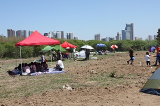 Day of the family picnic