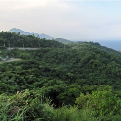 Taiwan