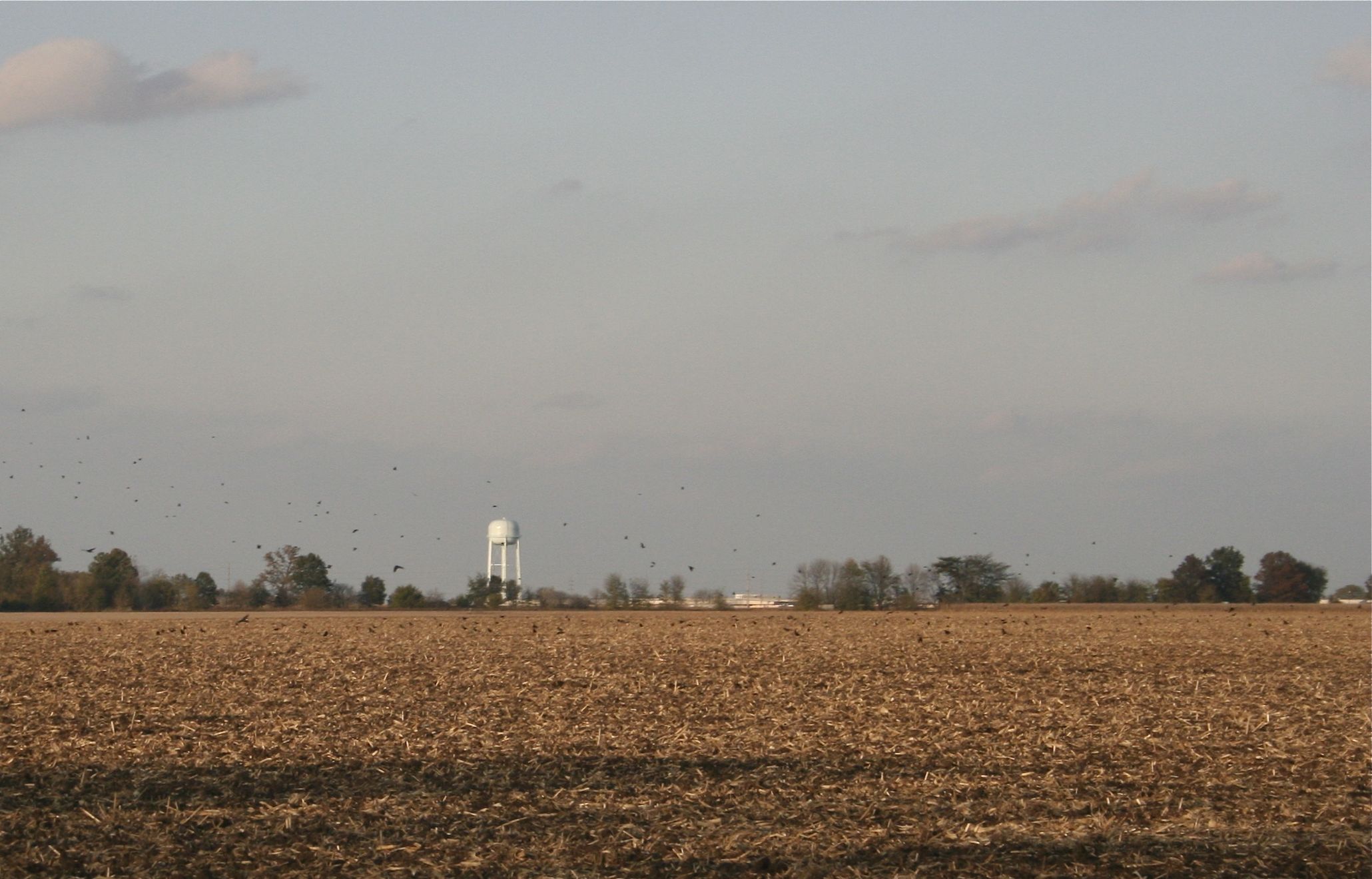 Water Tower.JPG