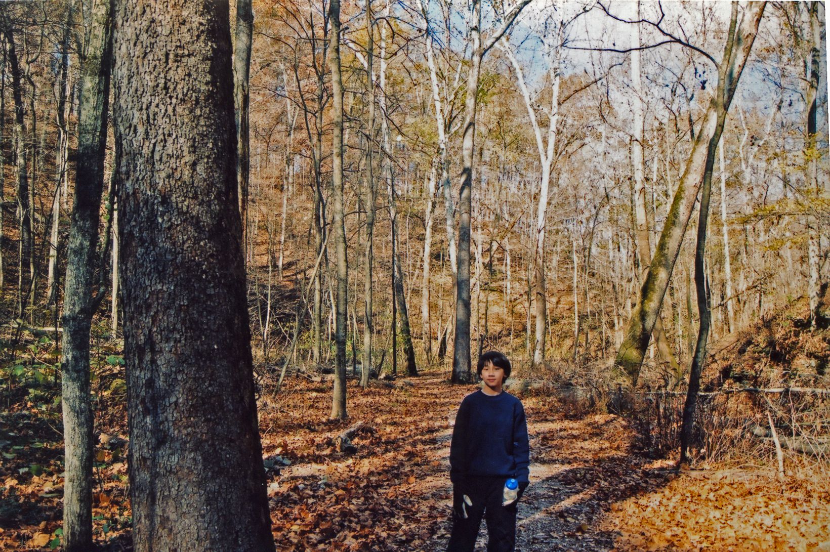 Arthur in the Indiana woods