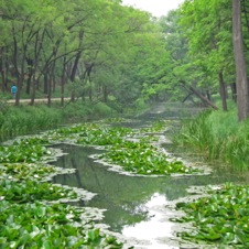 Qing Dynasty Summer Resort